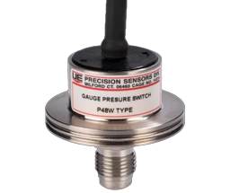 PW Gauge Pressure Switch