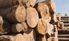 Industries_We_Serve_Forestry_Products